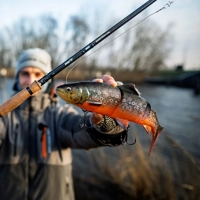 Savage Gear 3D Line Thru Trout 15cm/35g